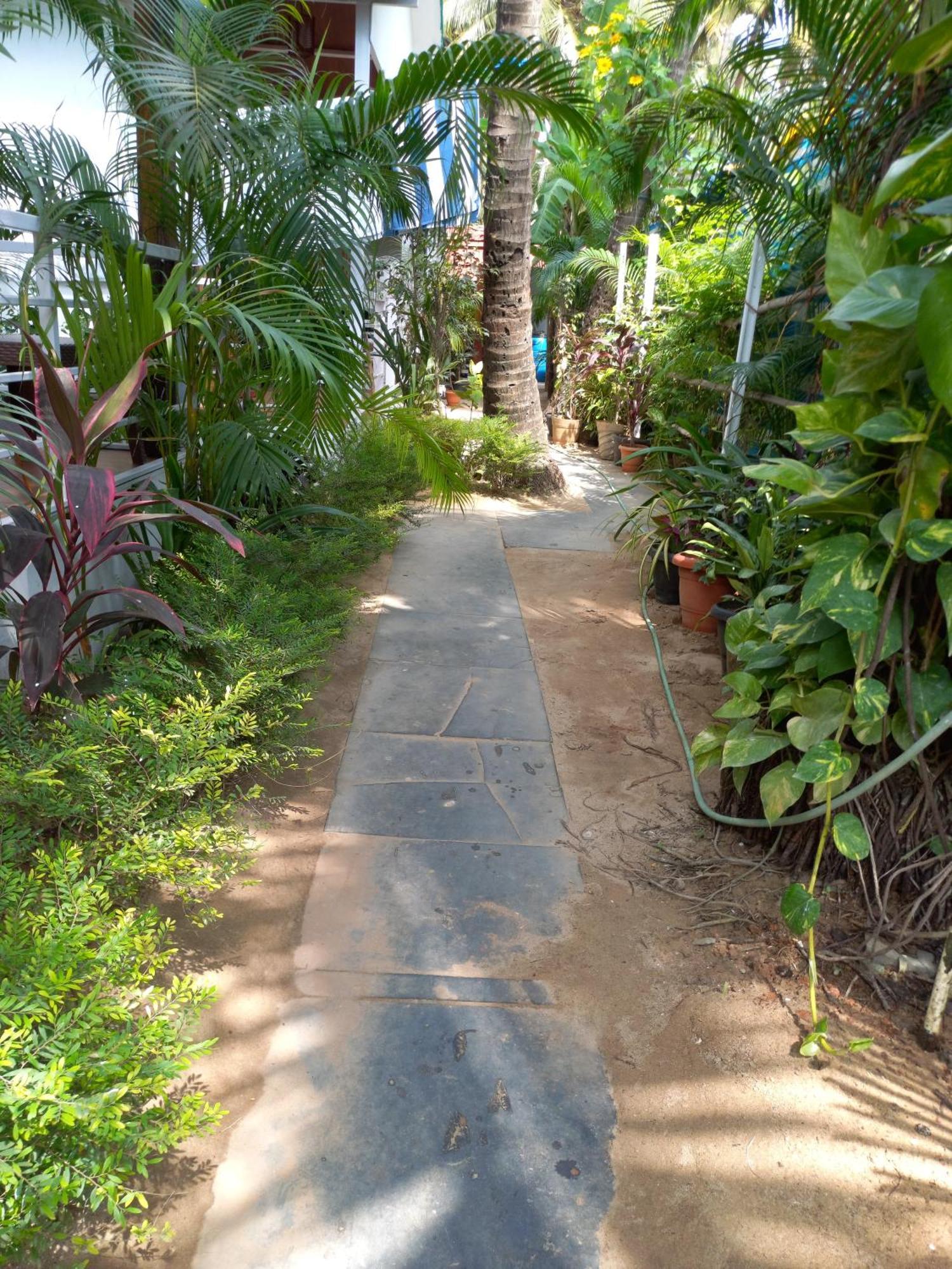 Royal Castle Resort Palolem, Canacona Eksteriør bilde